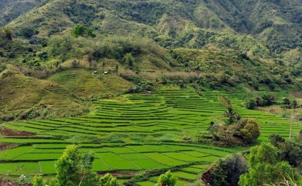 Travel Guides Philippines