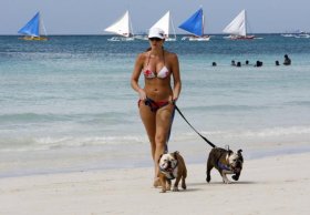 Sun lover walks her dogs on a beach in Boracay island in Malay town, province of Aklan, central Philippines.